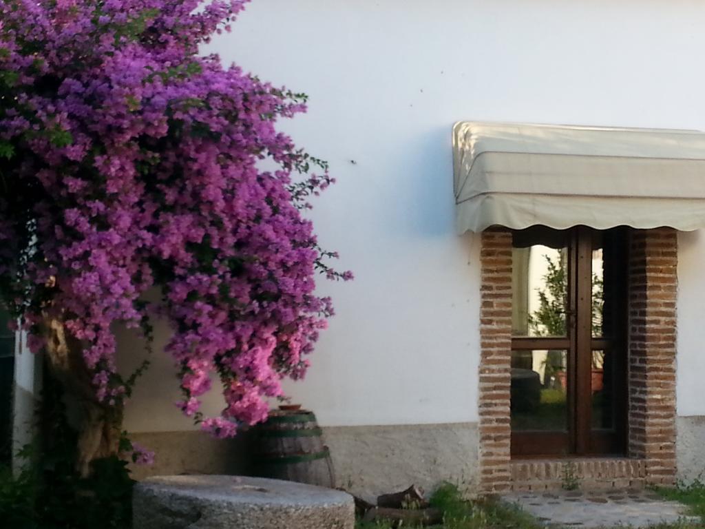 Agriturismo Malena Amica Екстер'єр фото